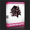 鼓素材/Deep House Drum Loop Vol 2 (125bpm)